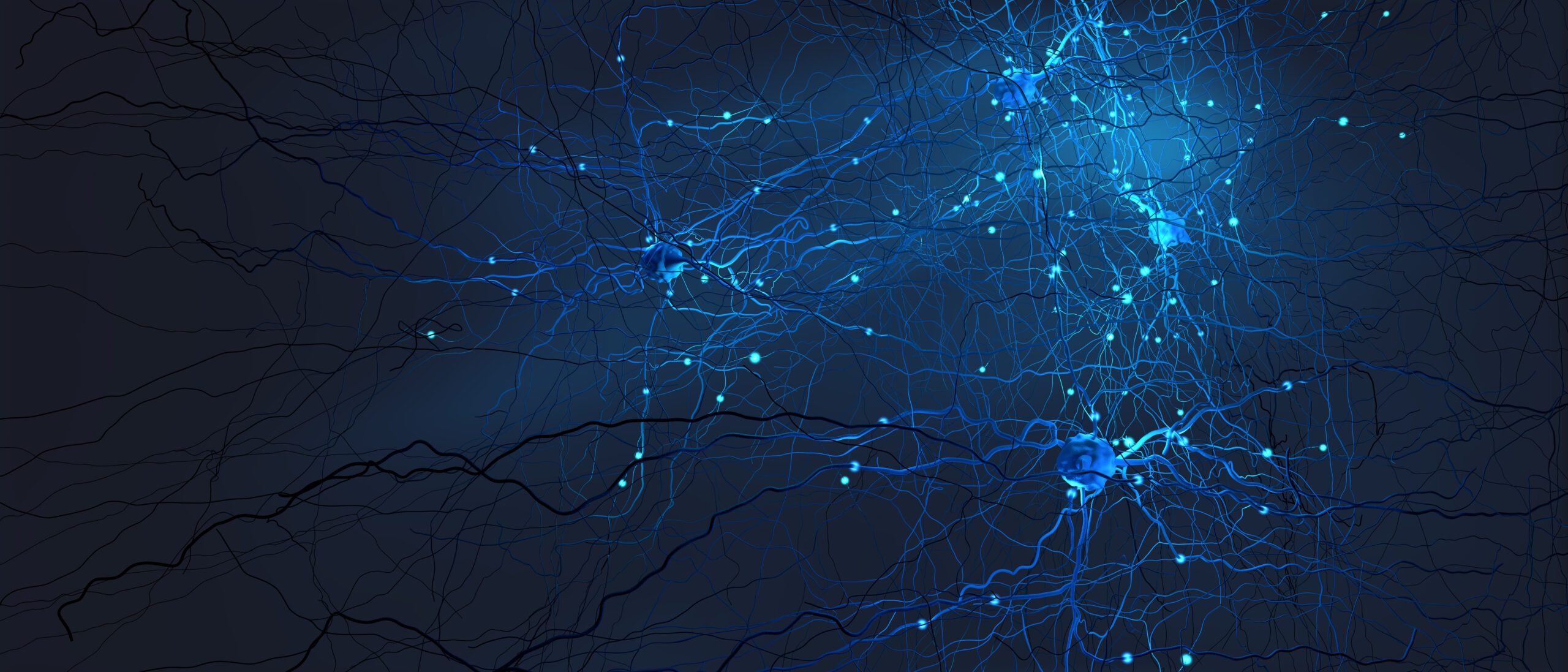 Signal transmitting neuron or nerve cell- 3d illustration